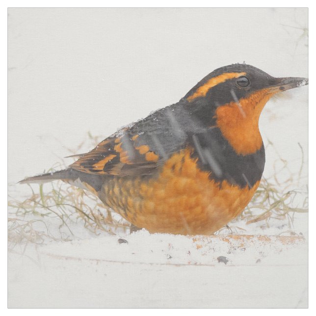Varierad trast sångfågel på snöig vinterdag tyg (Provkarta)