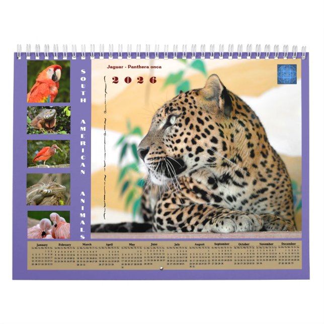 Various animals of South America Calendar Kalender (Omslag)