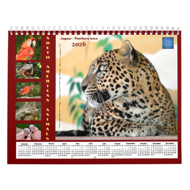 Various animals of South America Calendar Kalender (Omslag)