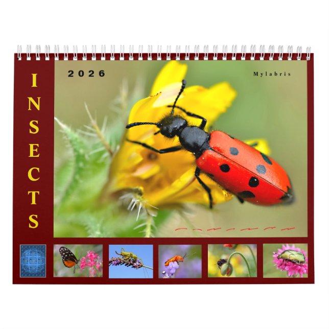 Various insects 12 month calendar kalender (Omslag)