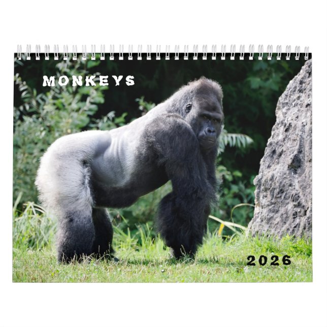 Various monkeys calendar kalender (Omslag)