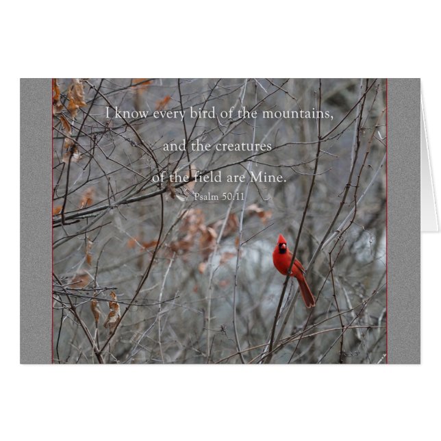 Varje bergsfågel Parakaleo vykort OBS Kort (Framsidan Horizontal)