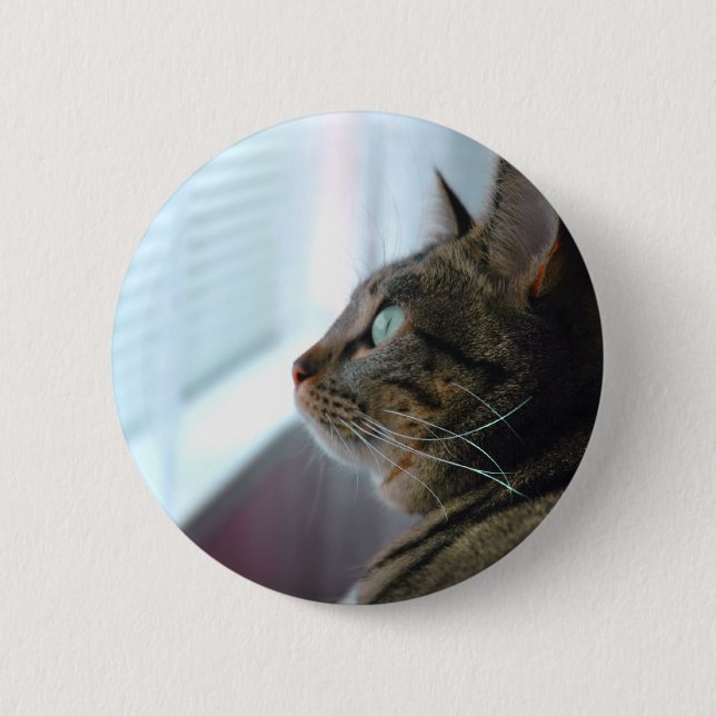 Varje beskådar kattungen utanför knapp (Framsida)