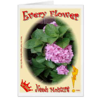 Varje blomma behöver fuktighet! OBS kort