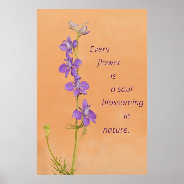 Varje blomma poster (Framsidan)