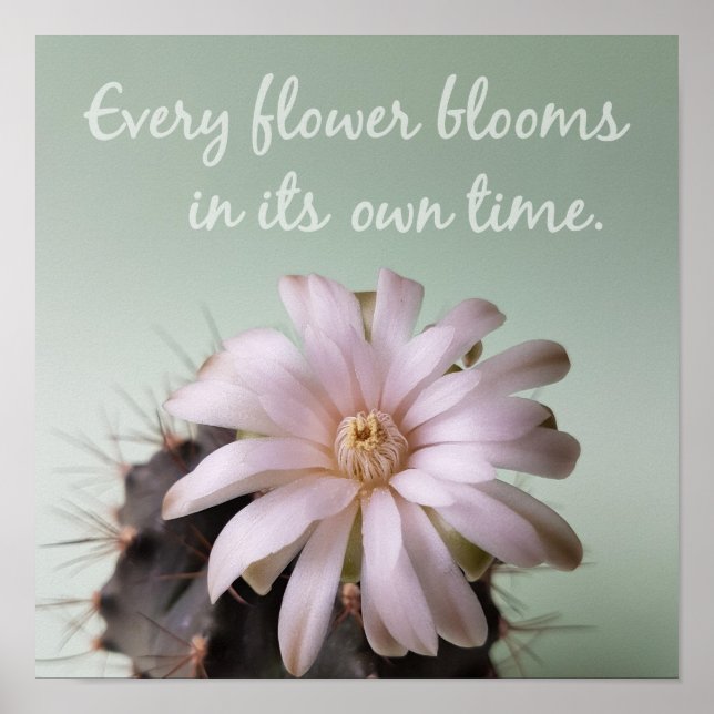 Varje blomma under sin egen tid Poster (Framsidan)