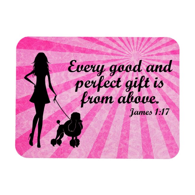 Varje Bra och Perfekt Gift James 1:17 Christian Magnet (Horisontell)