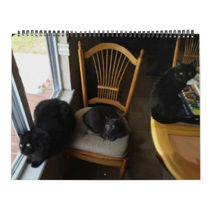 Varje dag är den beställnings- kattkalendern fö kalender