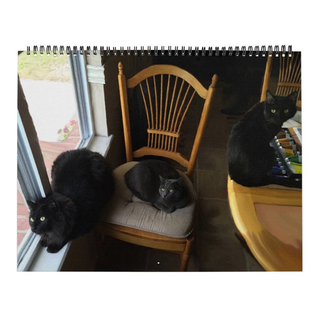 Varje dag är den beställnings- kattkalendern för kalender (Omslag)