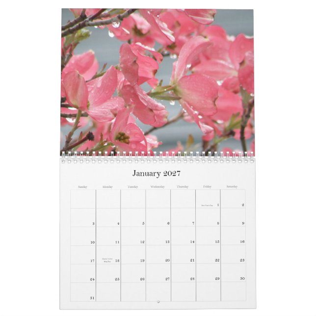 varje dag är en ny blomma kalender (Jan 2027)
