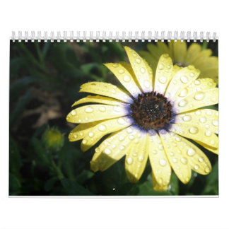 varje dag är en ny blomma kalender