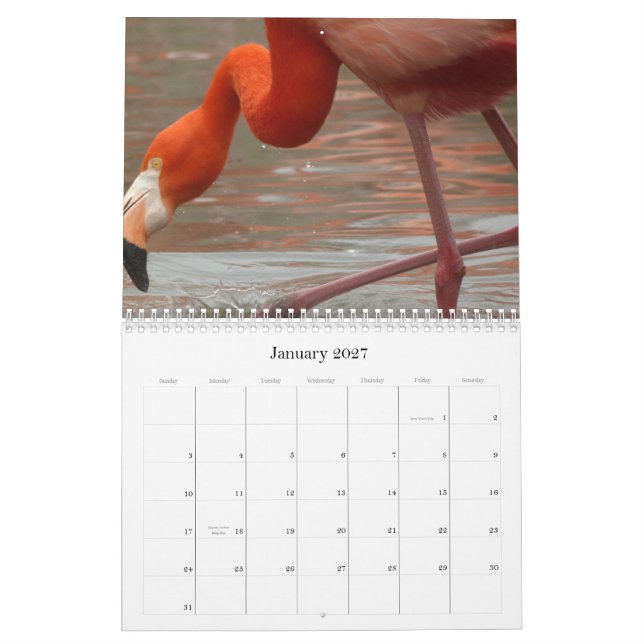 Varje dag är Flamingofredagen - kalender (Jan 2027)
