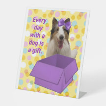 Varje dag med en hund är en gåva