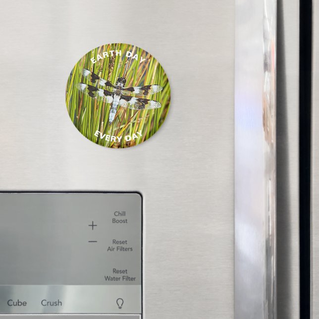 Varje dag, varje dag, gemensam vattendjupfluga magnet (In Situ (Fridge))