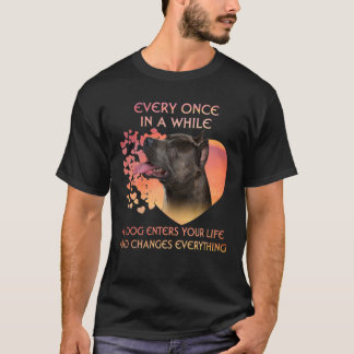 Varje Gång på en Hund kommer amerikansk personal i T Shirt