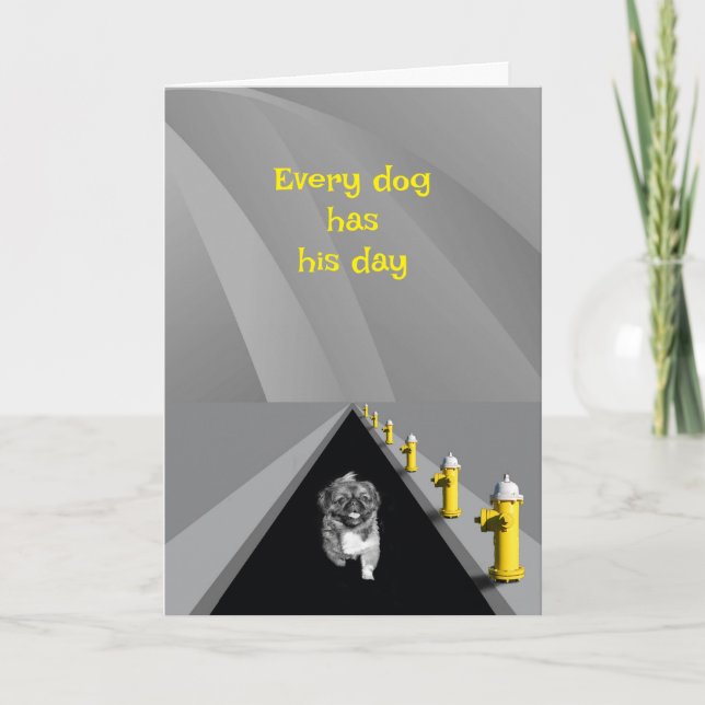 Varje hund har sin dag - humoristisk Fars dag Kort (Framsida)