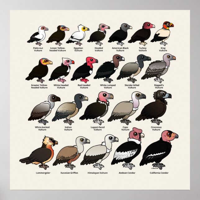 Varje kultur poster (Framsidan)