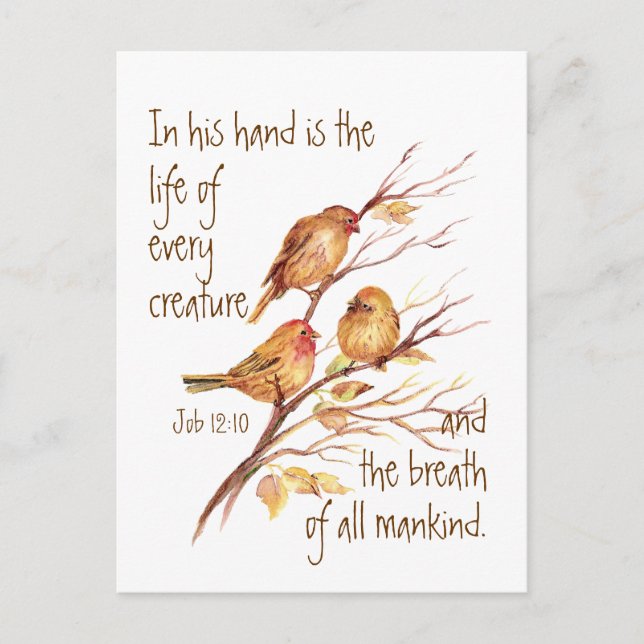 Varje skapad citattes inspirerande liv vykort (Framsida)