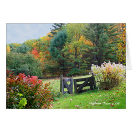 Varje utgång är en post någon annanstans OBS kort