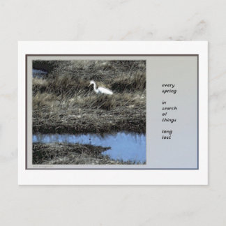 Varje Vår Haiku-vykort Vykort