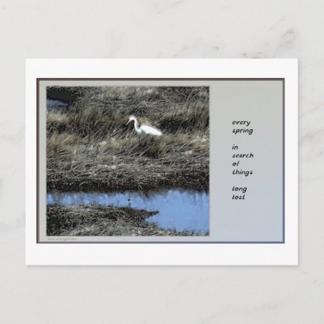 Varje Vår Haiku-vykort Vykort (Framsida)