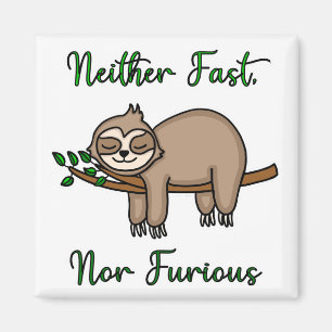 Varken Fast eller Furir Lazy Sloth på Träd Gren Magnet