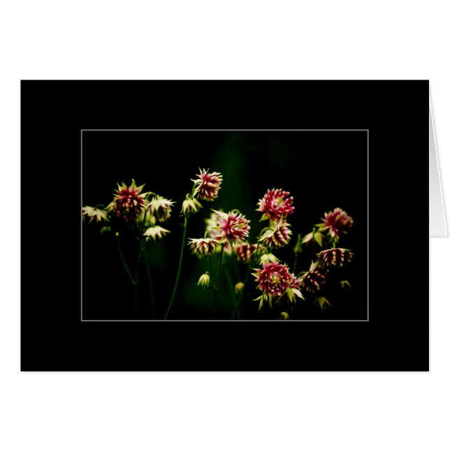 Vårkören Hälsningskort (Framsidan Horizontal)