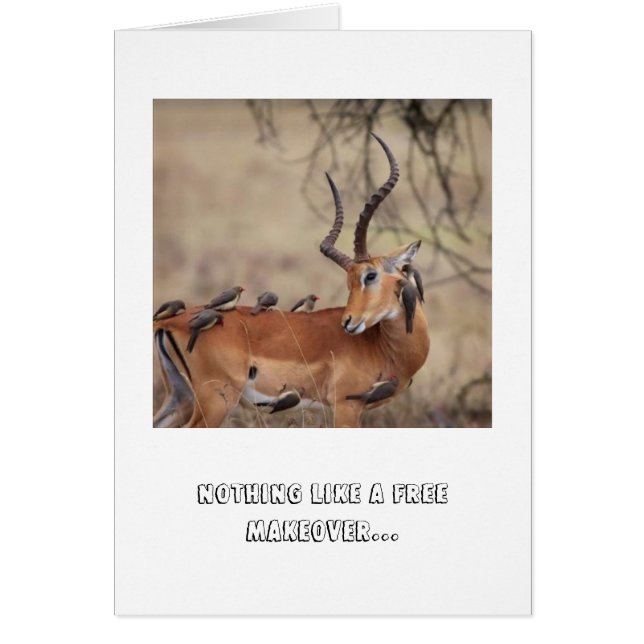 Vårkort OBS Kort (Framsidan)