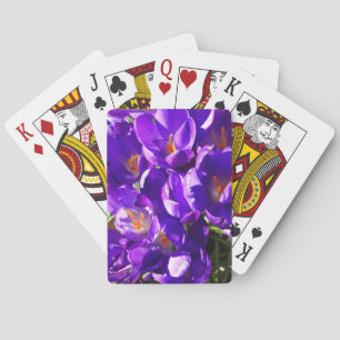 VÅRKRÅKEL CASINOKORT