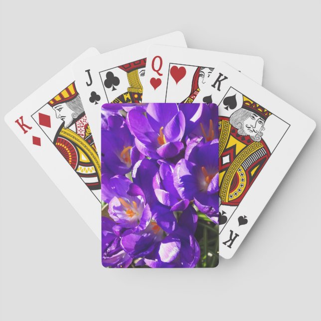 VÅRKRÅKEL CASINOKORT (Baksidan)