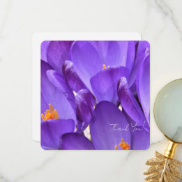 Vårkrokusblomma Fotografering Tack Kort