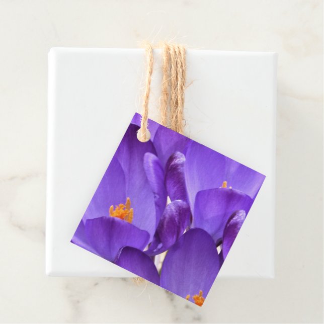Vårkrokusblommor Gåvor Etiketter (På plats)