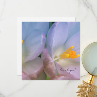 Vårkrokusfotografering Tack Kort