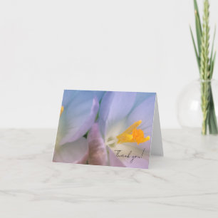 Vårkrokusfotografi Tack Kort