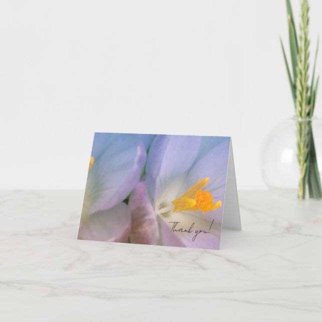 Vårkrokusfotografi Tack Kort (Framsida)