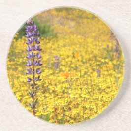 Vårkustfartyg Underlägg