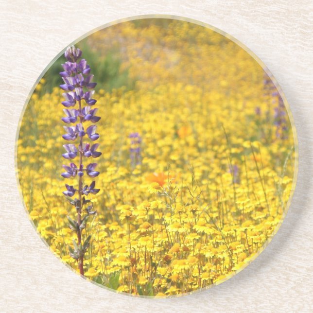 Vårkustfartyg Underlägg (Framsidan)