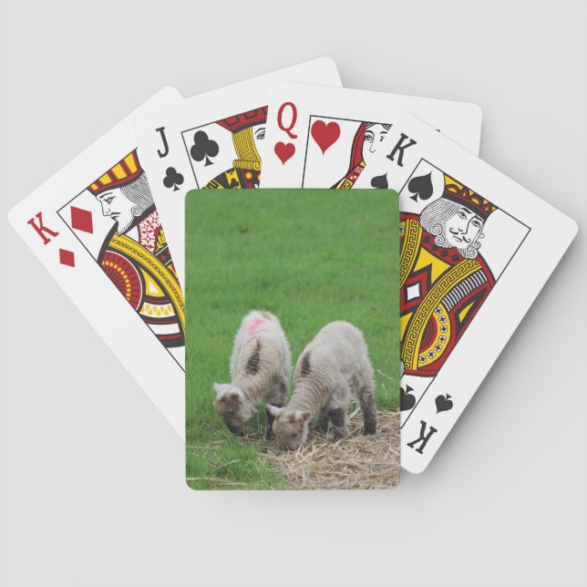 VårLambs Kortlek (Baksidan)