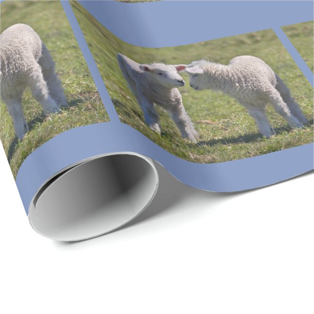 VårLambs som slår in papper Presentpapper (Rullad Hörn)