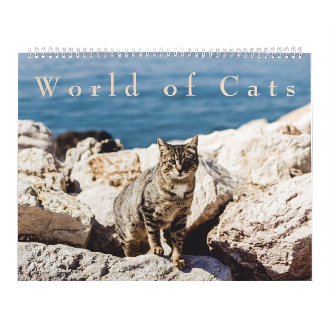 Värld av kattkalendern kalender (Omslag)