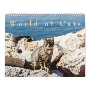 Värld av kattkalendern kalender