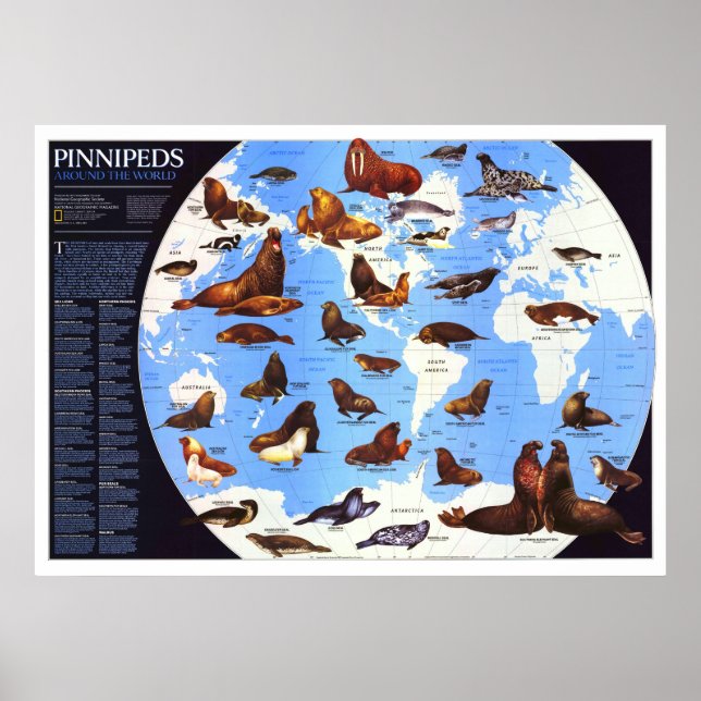 " Världen: 1987 års Pinniped värld runt ... Poster (Framsidan)
