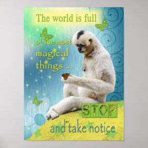 Världen är Magic-Fullt Poster