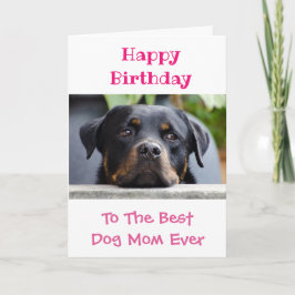 Världen grattis på födelsedagen Hund är världens b Kort