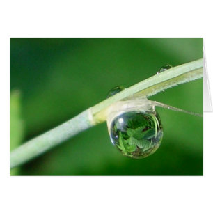 Världen i droplet hälsningskort