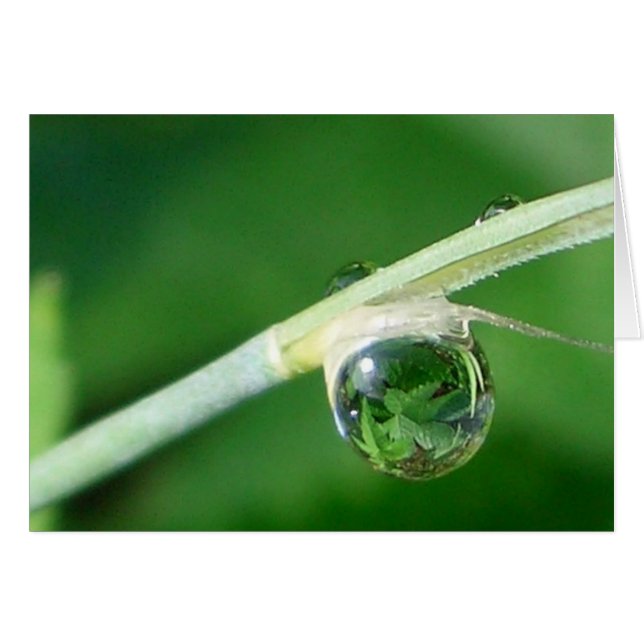 Världen i droplet hälsningskort (Framsidan Horizontal)