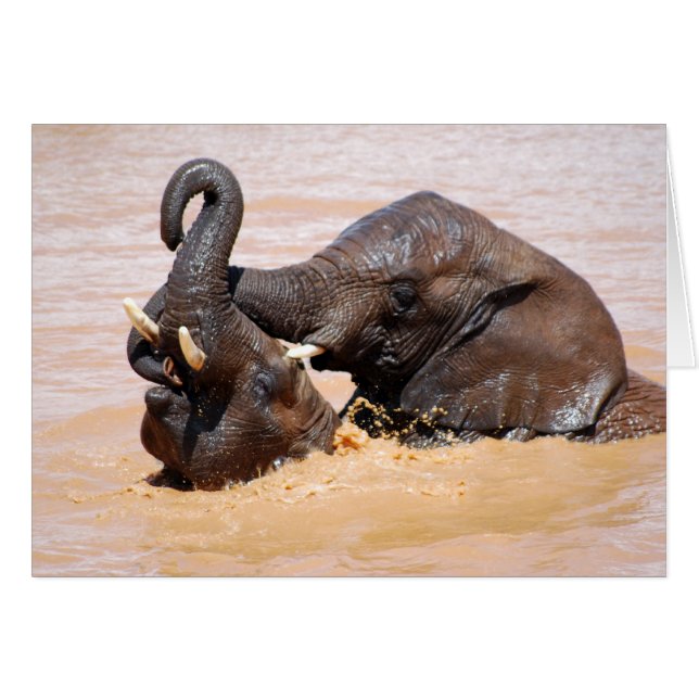 Världen i Elephants vatten Hälsningskort (Framsidan Horizontal)