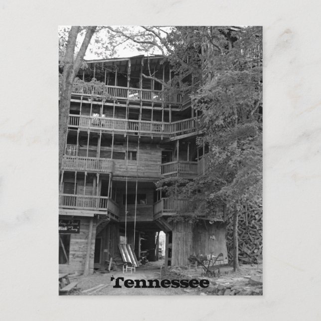 Världen Largest Treehouse Vykort (Framsida)