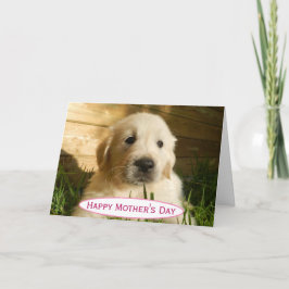 Världen mors dag Hund är världens bästa någonsin-f Kort