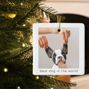 Världens bästa Hund Hund Photo Julgransprydnad Keramik
